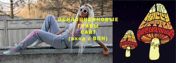 гашик Армянск