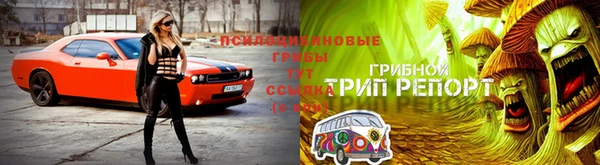 герыч Аркадак