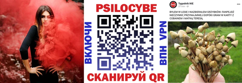 Галлюциногенные грибы Psilocybine cubensis  купить  сайты  Нижний Ломов 